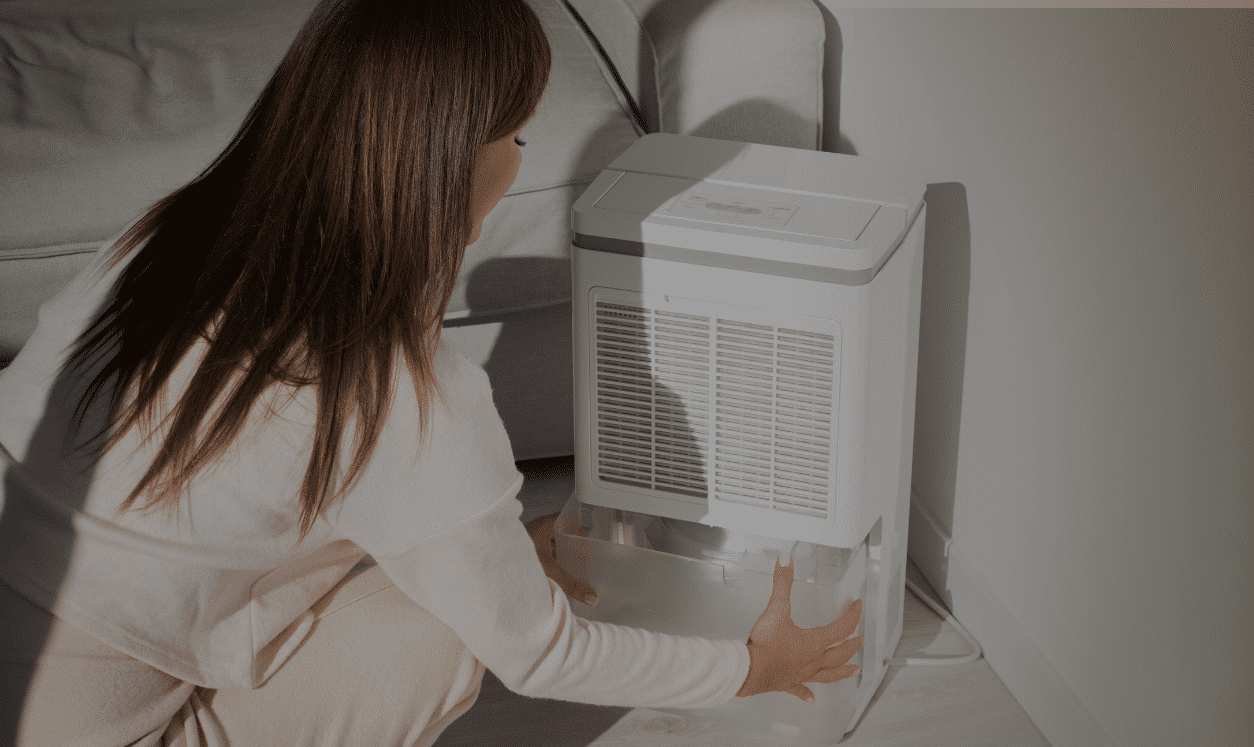 humidifier for hvac system